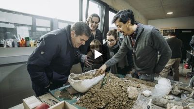 Dos niños hallaron dos restos fósiles en Mar del Plata