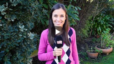El Ojo Curioso - Programa Completo (18/08/2025)